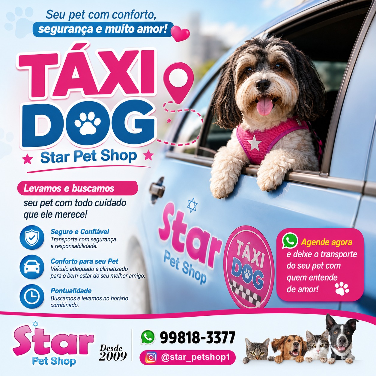 Serviço Taxi Dog Star Pet Shop